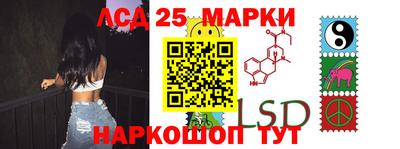 ГАЛЛЮЦИНОГЕННЫЕ ГРИБЫ Кингисепп