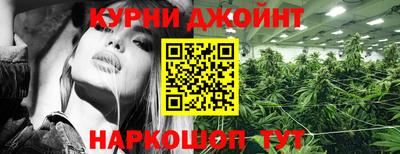 ГАЛЛЮЦИНОГЕННЫЕ ГРИБЫ Кингисепп