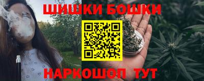 ГАЛЛЮЦИНОГЕННЫЕ ГРИБЫ Кингисепп