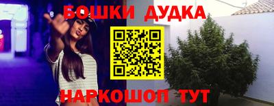 дмт Кинель