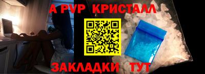 ГАЛЛЮЦИНОГЕННЫЕ ГРИБЫ Кингисепп