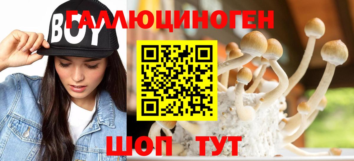 Псилоцибиновые грибы Magic Shrooms  Вход с VPN  Кубинка 
